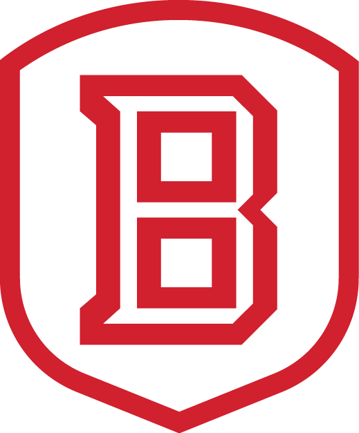 Bradley Braves 2012-Pres Secondary Logo v2 DIY iron on transfer (heat transfer)